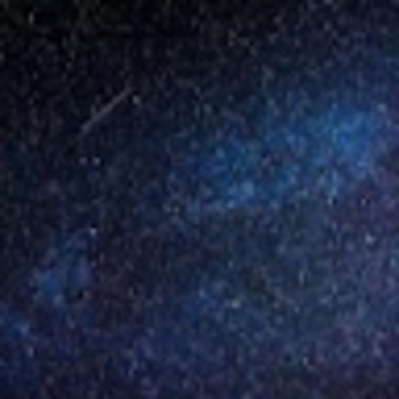 Meet your Posher, Hazel - Picture 1 of 1